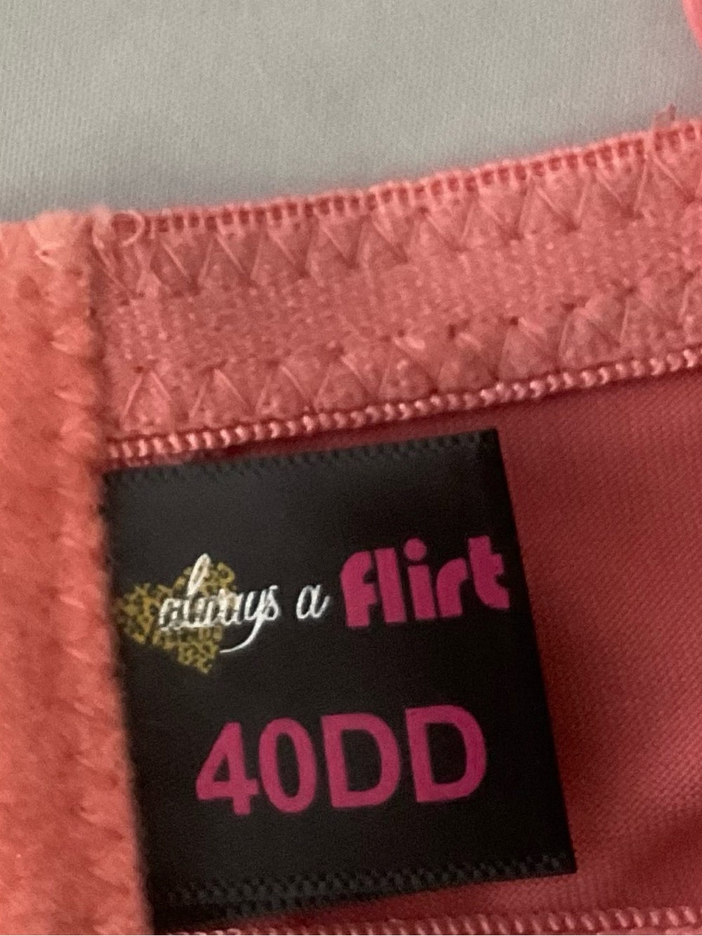 Convertible Strapless Bra in Coral Pink plus sized